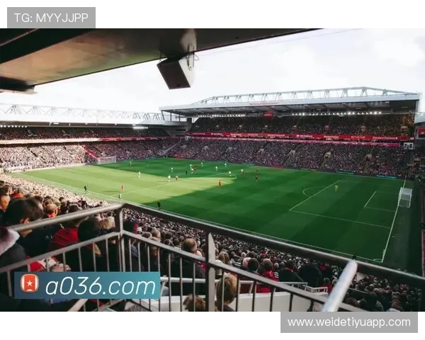 开云体育旗舰厅最新官方平台全面解析，助你轻松畅享高品质体育娱乐体验